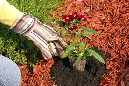 Why Mulching Matters: The Benefits of Mulch Installation for Your Akron Landscape