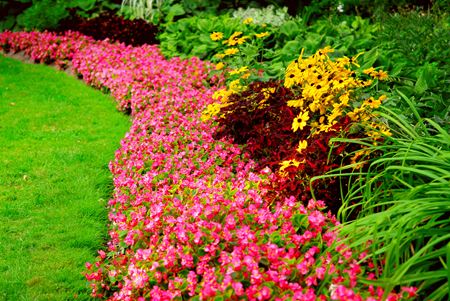 Flowerbed Installation & Maintenance