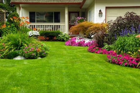 Landscape & Yard Maintenance