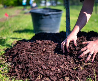 Mulching Image