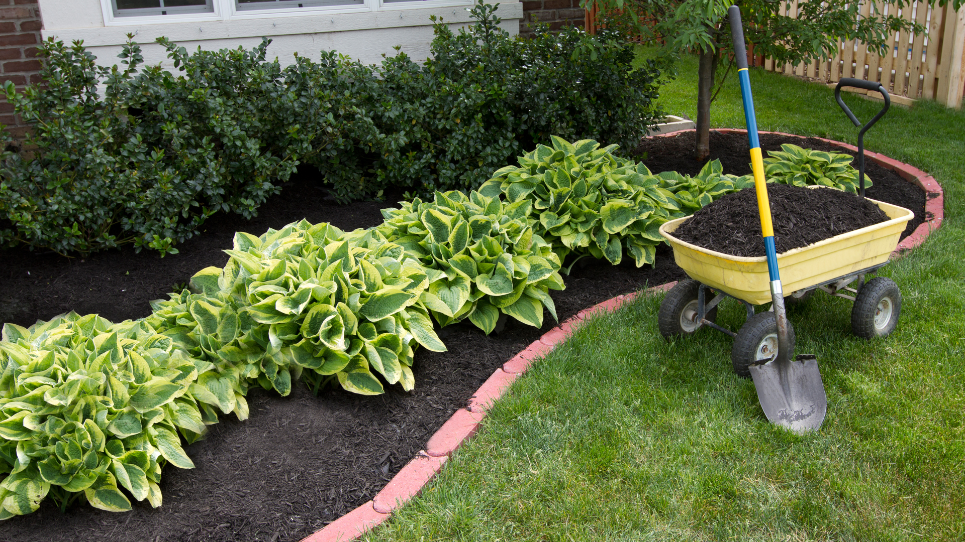 Mulching Image